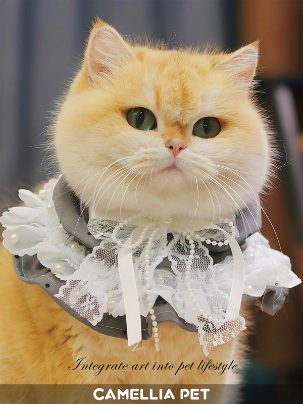 Camellia Pet Pet Apparel Pet Scarf Pet Suit Series